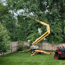 Best Tree Trimming and Pruning  in West Valley City, UT